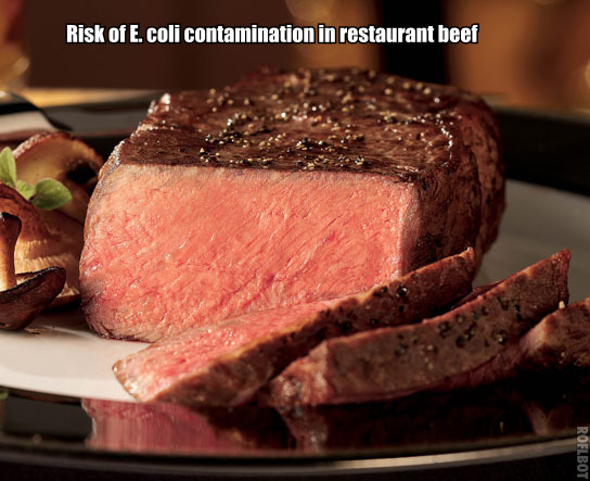 Risks of E. coli contamination in restaurant beef